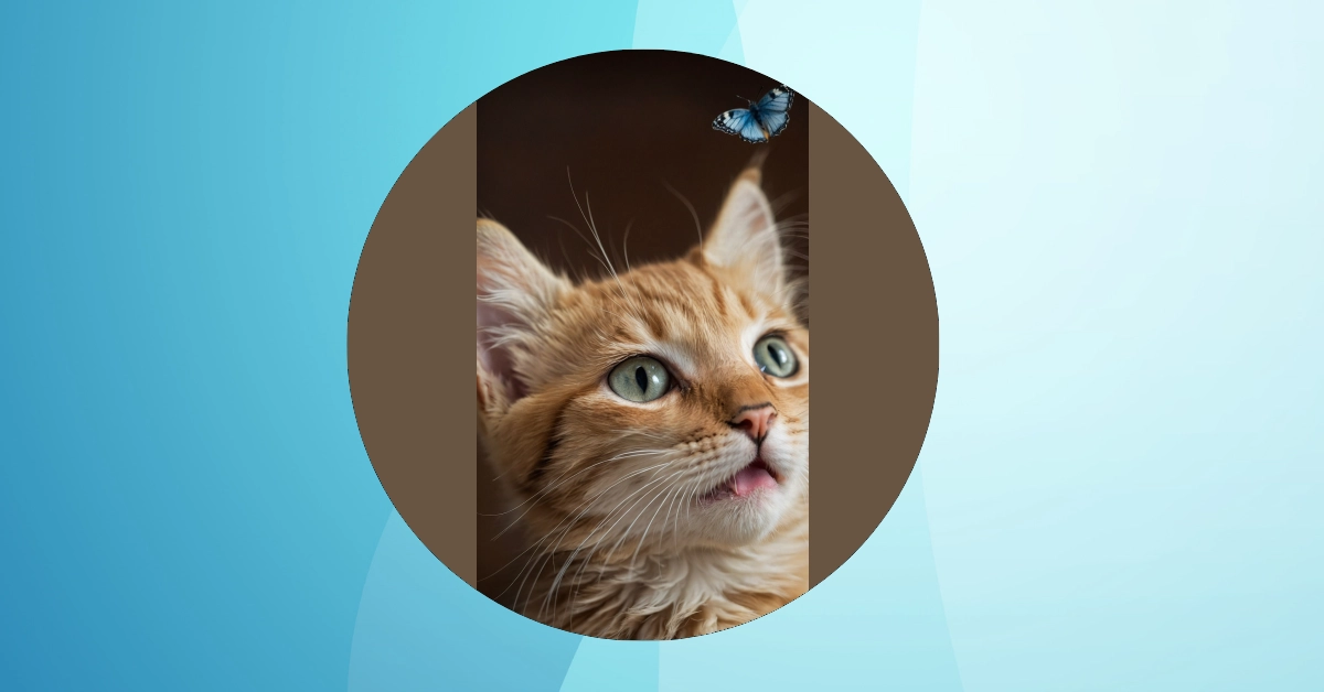 Spruce Up Your Space with 11 Adorable Kitten Wallpapers